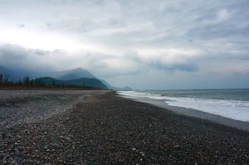 無毒養殖鱸魚