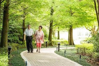 銀髮族營養攝取的重點