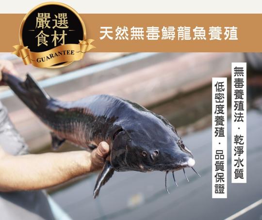 台灣鱘龍魚養殖