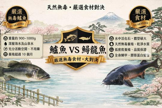 鱸魚精 vs. 鱘龍魚精怎麼選？