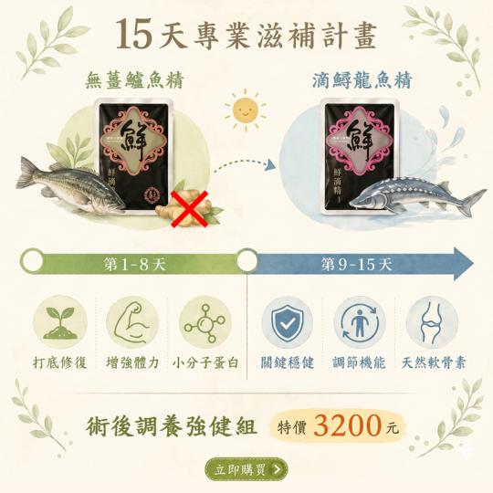 2026年真食補關鍵補養計畫