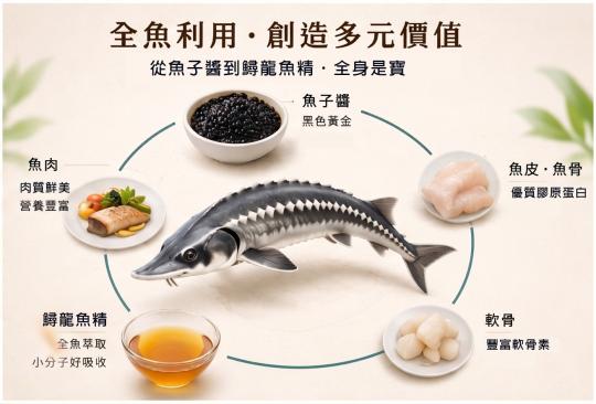 【鱘龍魚精功效大公開】術後修復、關鍵保養怎麼吃？