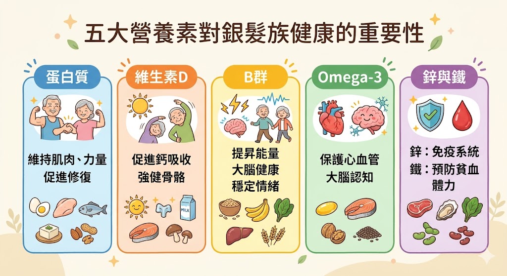 銀髮族五大營養