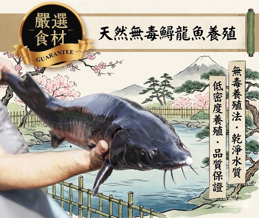 鱘龍魚本人