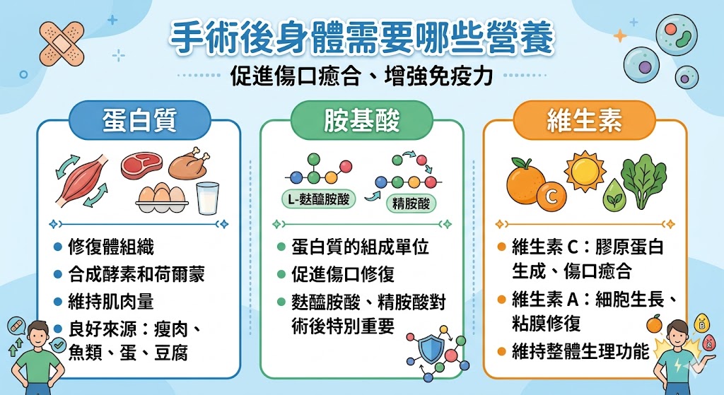 手術後身體需要那些營養