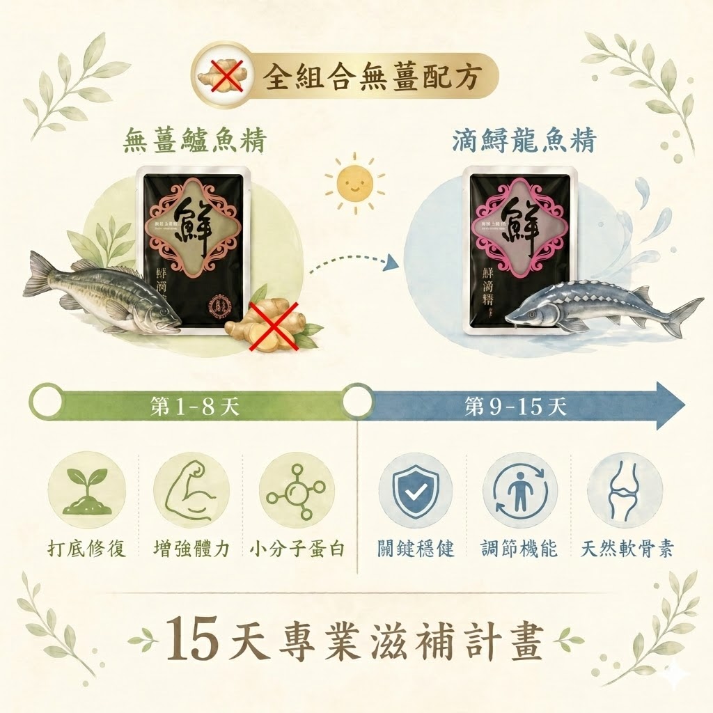 骨科術後 15 天兩階段補養計畫圖